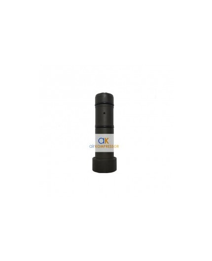 Pistón Bauer 068599